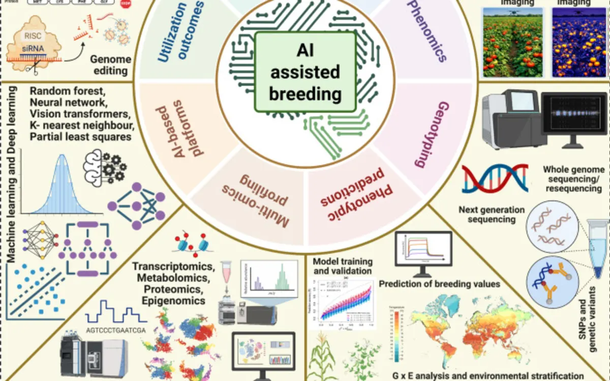 Figure 1 from "Harnessing artificial intelligence in plant breeding: innovations in digital phenotyping and breeding methodologies"